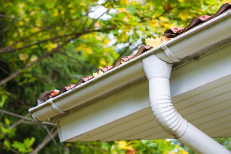 [DEAD] Gutter Cleaning